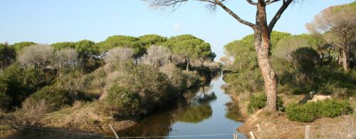 Parco Regionale della Maremma: canale di bonifica