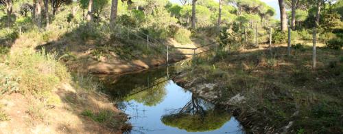 Parco Regionale della Maremma