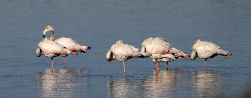 Laguna di Orbetello